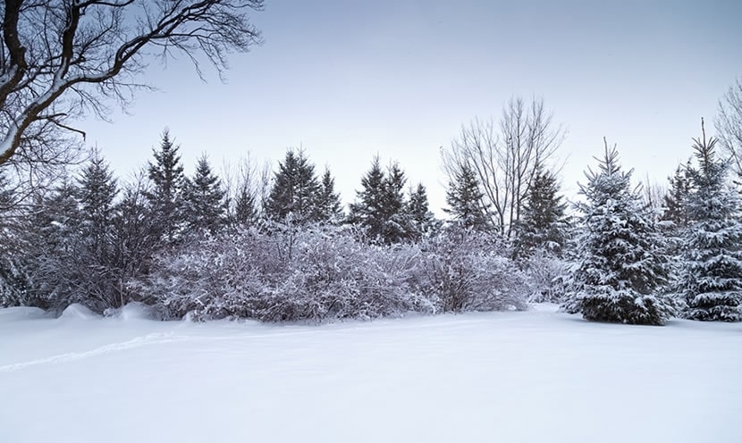 Des vacances à la neige bien préparées Des vacances à la neige bien préparées