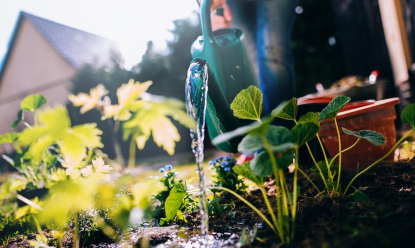 Les accessoires de jardinage qui facilitent vraiment la vie