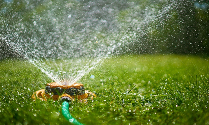 Comment économiser l’eau au jardin ? Astuces simples et efficaces