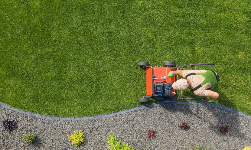 Nos astuces pour éliminer les mauvaises herbes