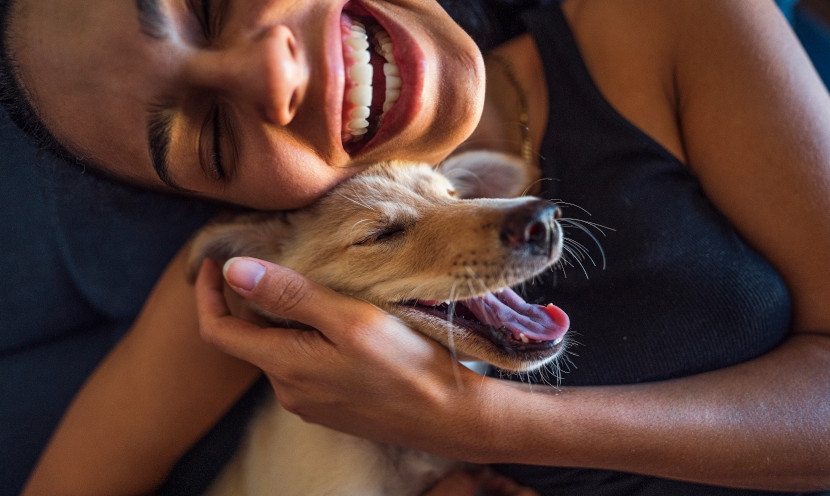 Intérieur sans poils de chien : quelles astuces ?