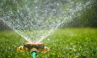 Comment économiser l’eau au jardin ? Astuces simples et efficaces