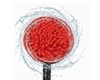 Brosse telescopique rotative