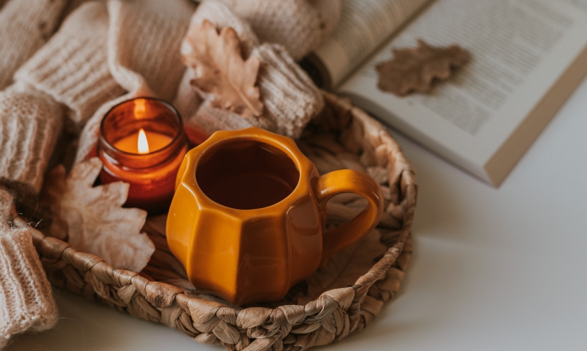 Comment préparer sa maison pour l’arrivée de l’automne ?