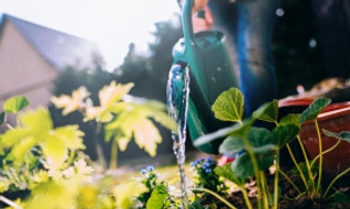 Les accessoires de jardinage qui facilitent vraiment la vie