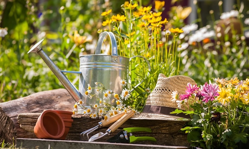Préparez votre jardin pour le printemps 