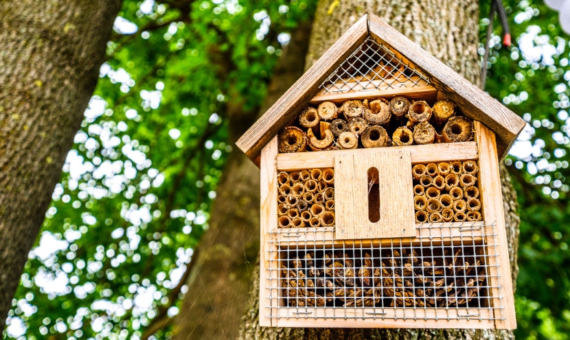 5 idées de bricolage d’automne pour améliorer l’espace extérieur 