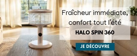 Maison, Brico & Jardin