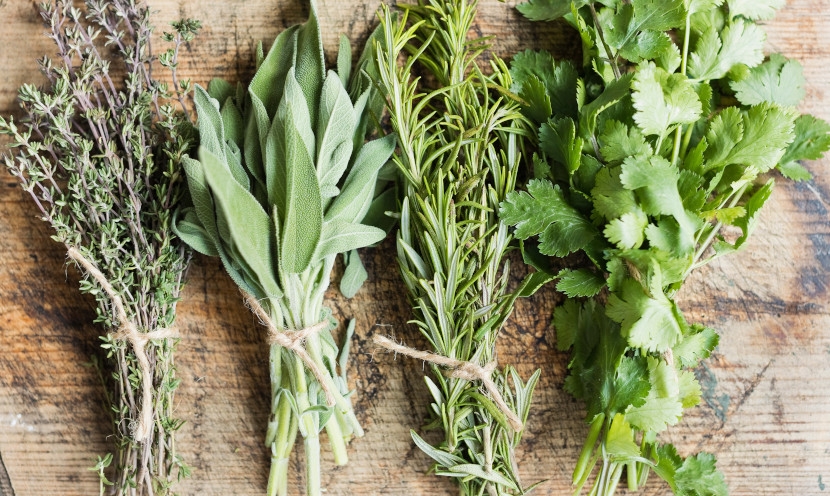 Comment conserver efficacement vos herbes aromatiques ?