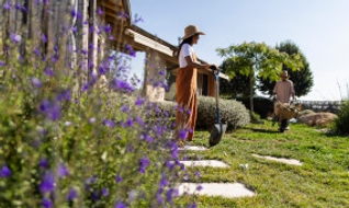 Comment entretenir son jardin pendant les fortes chaleurs ?
