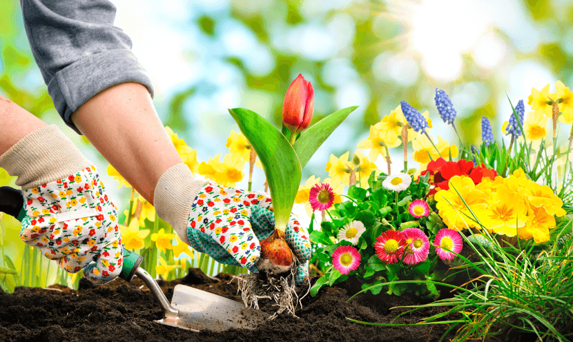 Entretien du jardin en printemps : les conseils